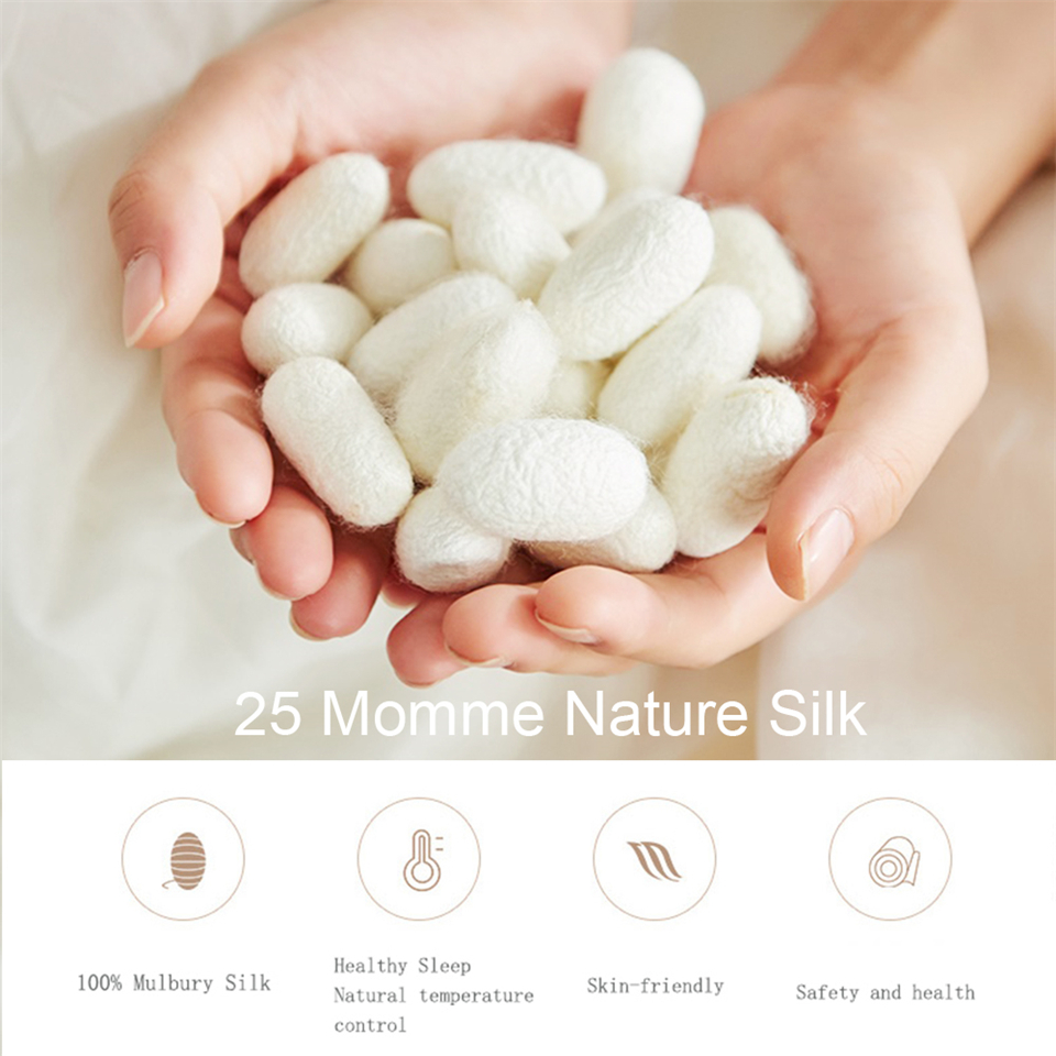 Liv-Esthete Double Color Noble - Silk Sheet Set 评论和价格