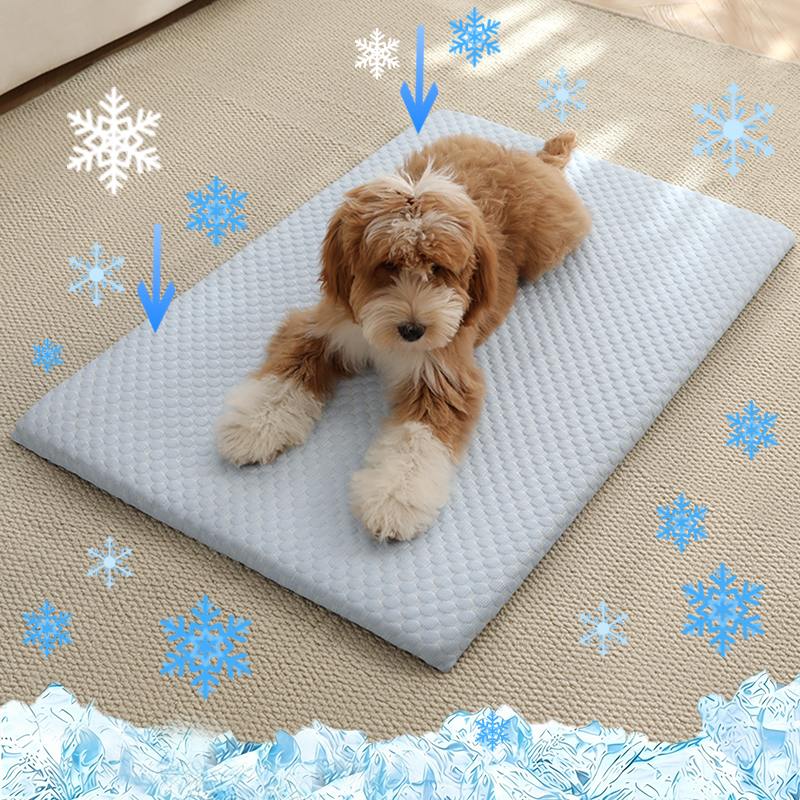 New Summer Ice Silk Cooling Pe - Silk Sheet Set 评论和价格