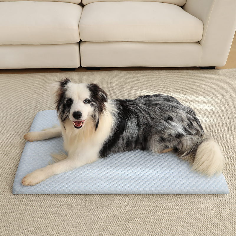 New Summer Ice Silk Cooling Pe - Silk Sheet Set 评论和价格